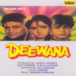 Aisi Deewangi Lyrics, Alka Yagnik, Vinod Rathod